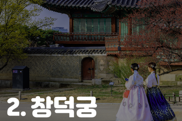 콘텐츠 이미지